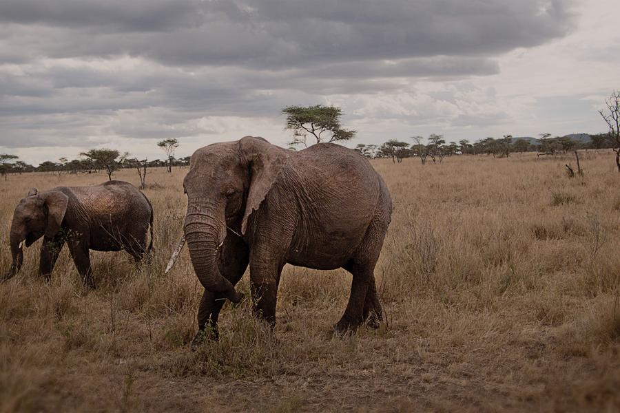 Our travellers show off their best animal 'grams. 