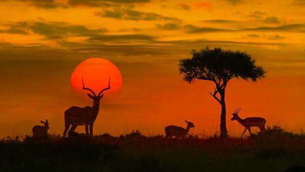 Explore this dynamic East African country with confidence by following our guide full of expert travel safety tips