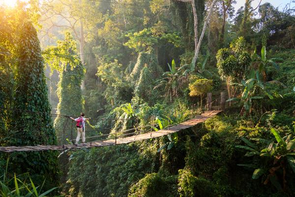 From the imposing peaks surrounding Chiang Mai to the viewpoint atop Tiger Cave Temple, all paths leads to incredible hikes in Thailand