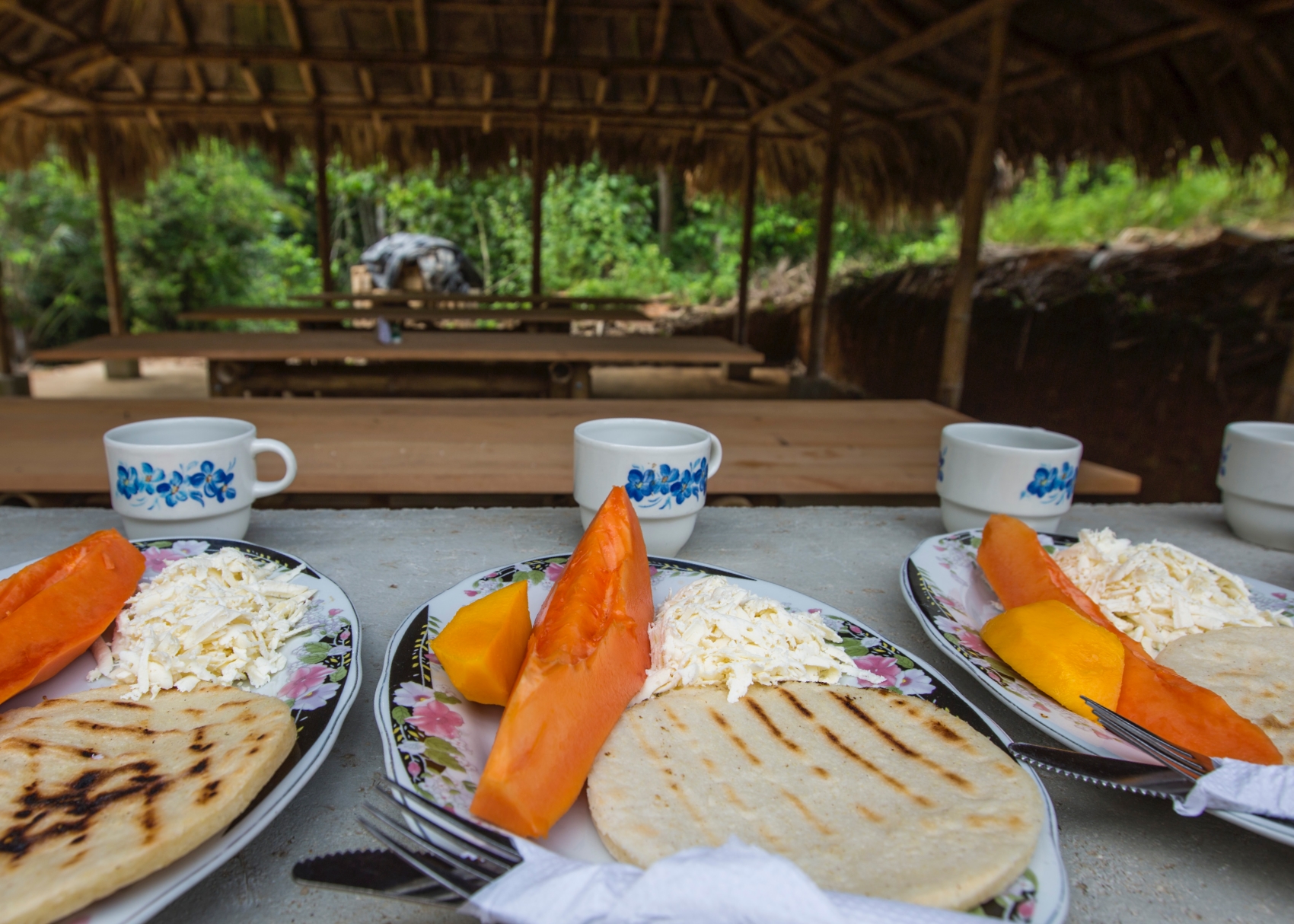 slices of fresh papaya with grilled flatbread in Colombia