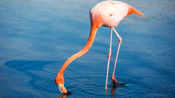 One of the smaller Galápagos Islands is a nature-lover's paradise — but it also has a few dark secrets